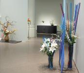 Overview 11.jpg 5.2K